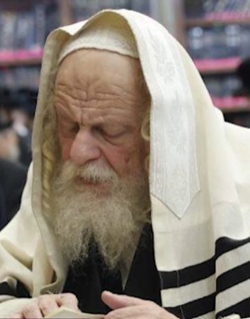 Rabbi Abish Tzeinvert
